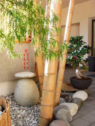 ブレッサノーネ Garni Cremona Bed & Breakfast エクステリア 写真